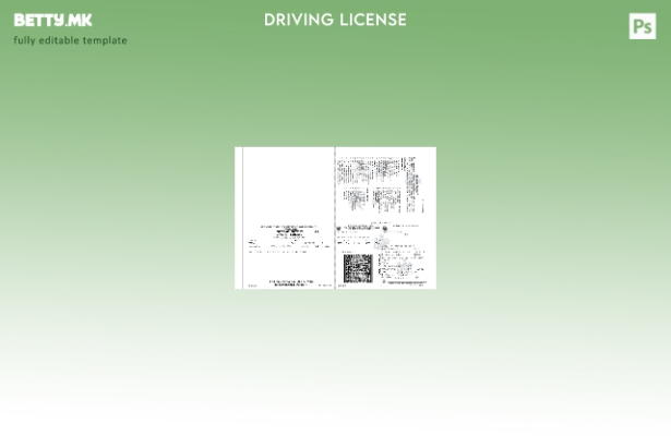 Модерен стил на САД шаблон за привремена возачка дозвола од Одделот за моторни в